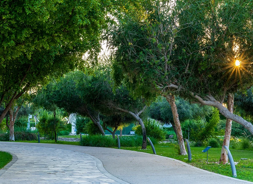 Oxygen Park