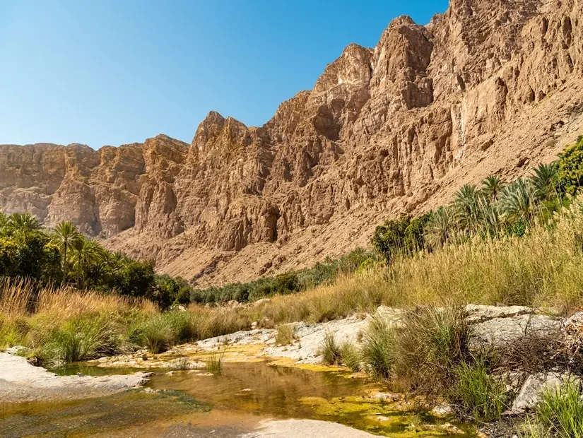 Wadi Tiwi