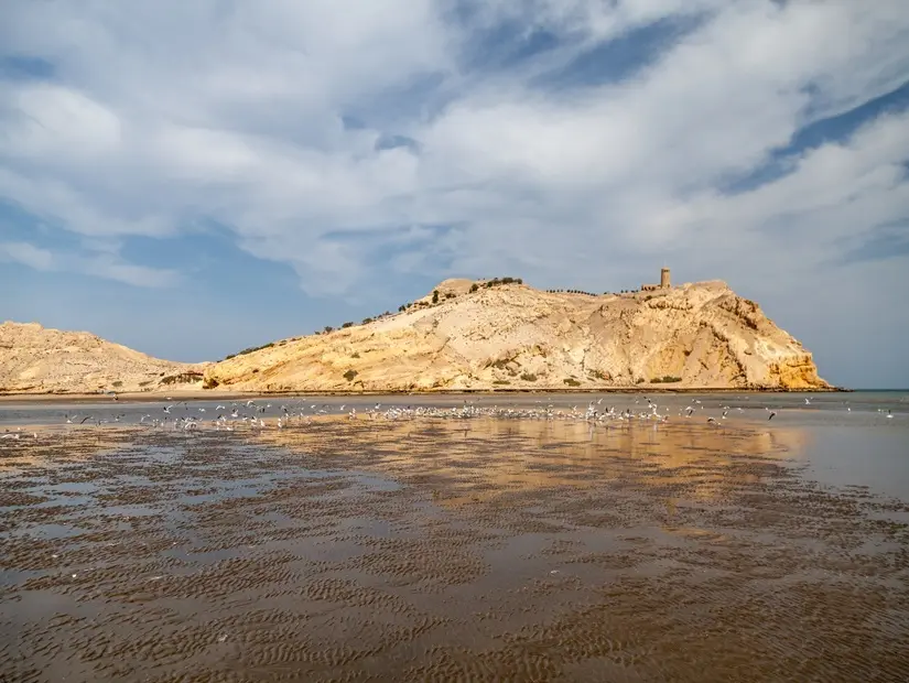 Al Sawadi Plajı