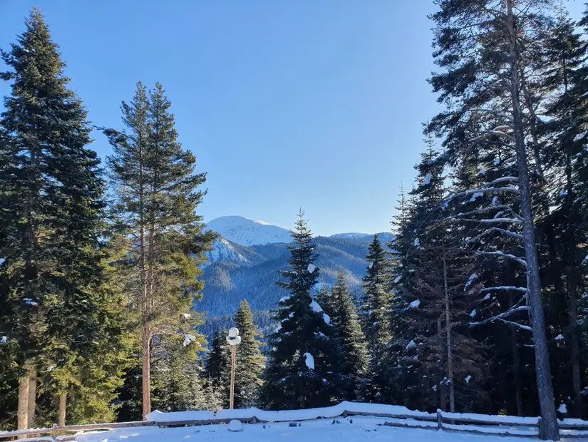 Ilgaz Dağları Milli Parkı