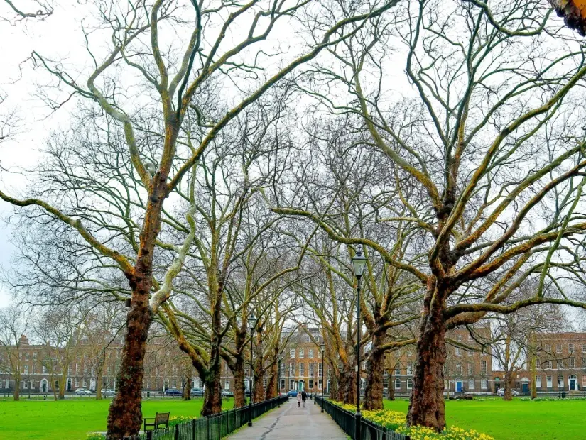 Highbury - Londra