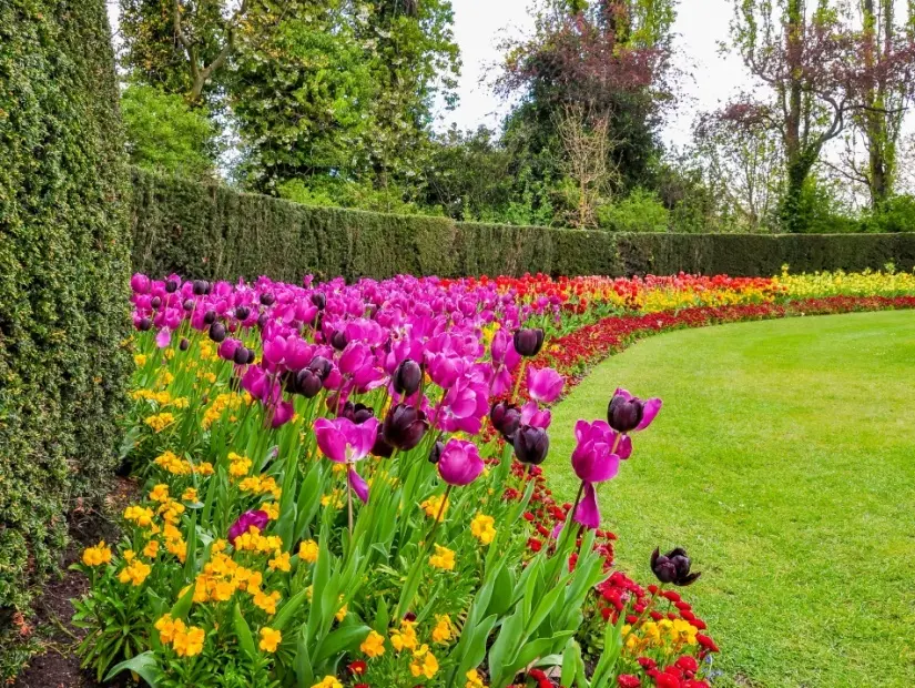 Regent Park - Londra