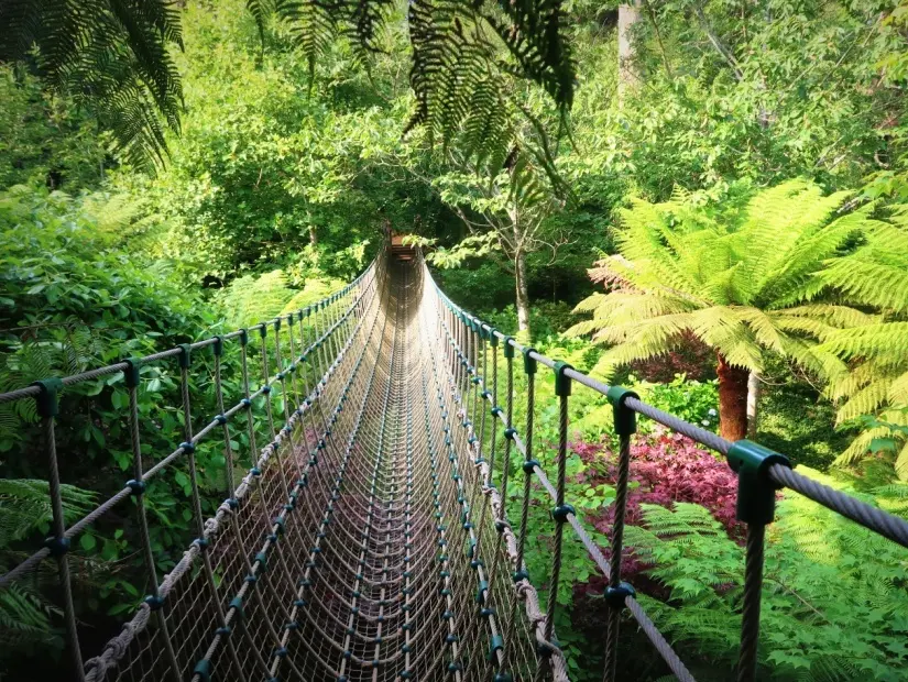Heligan'ın Kayıp Bahçeleri - Cornwall