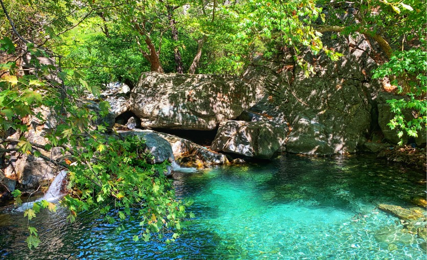 Kaz Dağları: Baharı Doğada Karşıla