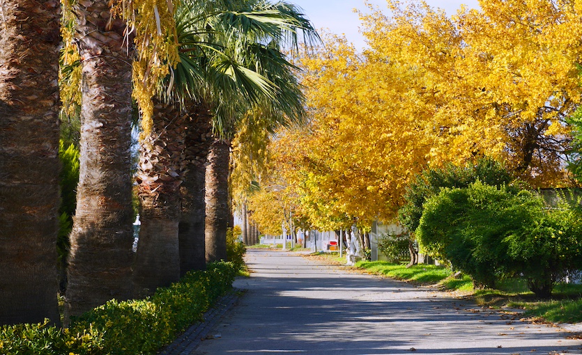 Balıkesir’in Popüler Tatil Yeri: Erdek