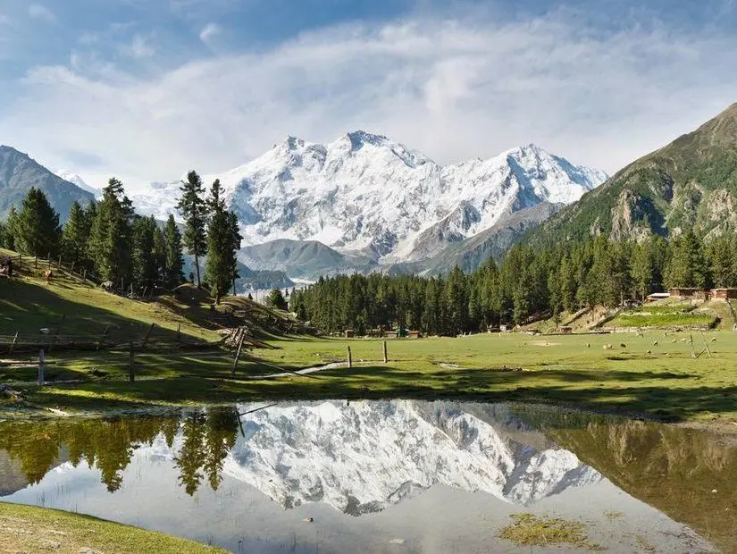 Nanga Parbat Dağı - 8126 metre