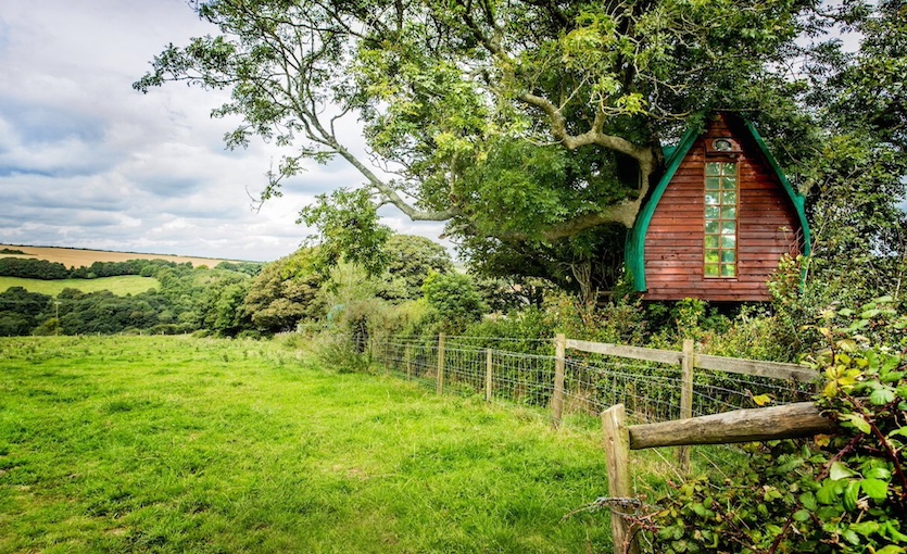 Bir Ağaç Evinden Daha Fazlası: Tree Sparrow House