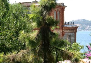 Troçki’nin Evi