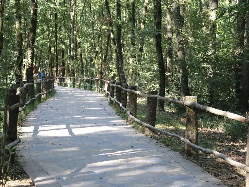 Kocaeli Kent Ormanı