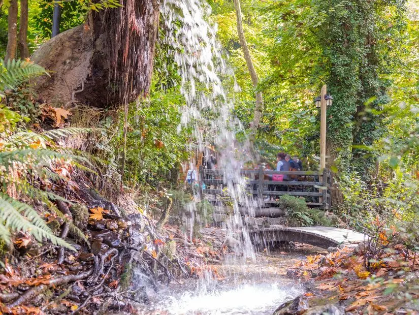Çınarlıdere Mesire Alanı
