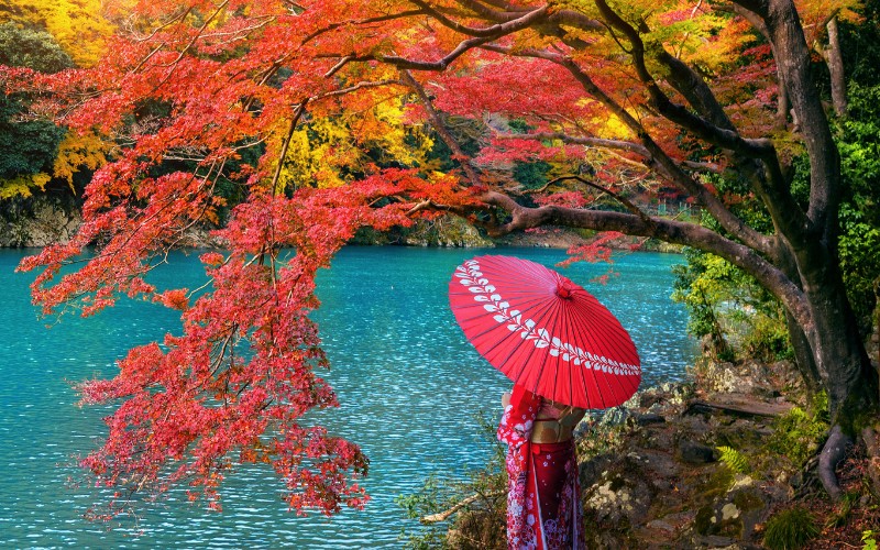 Kyoto, Japonya