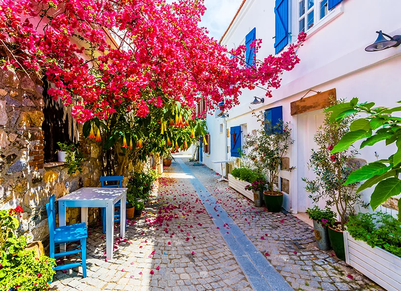 Boğaziçi Köyü, Milas/Muğla