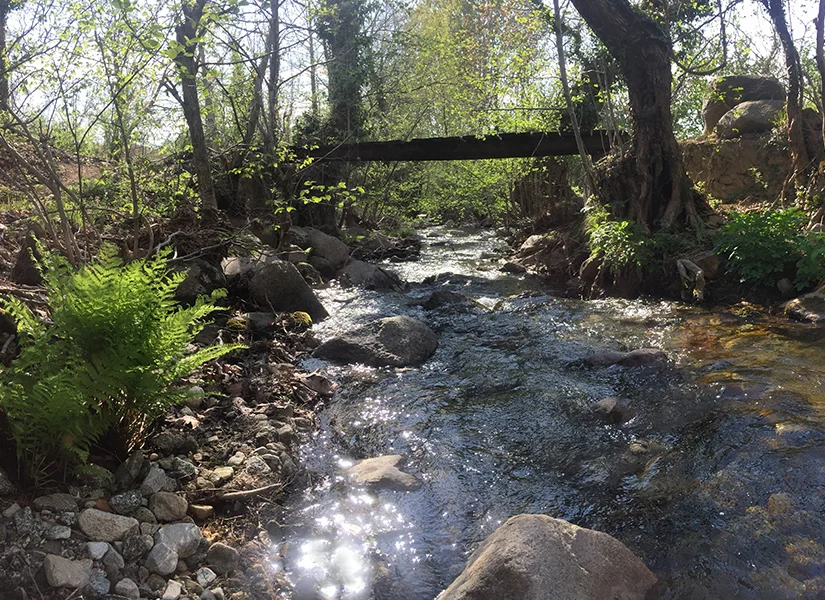 Bayramiç Köyü, Gelibolu/Çanakkale