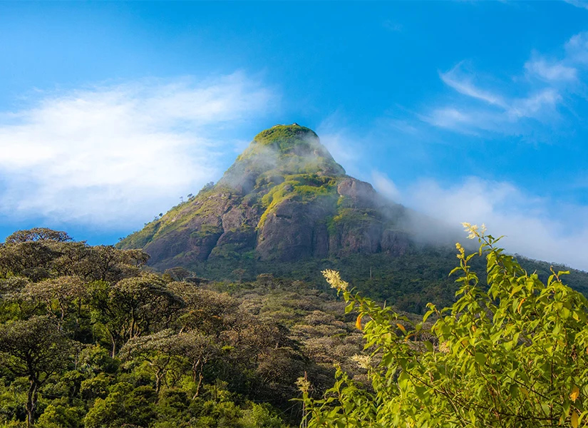 Adem Tepesi (Adam’s Peak)