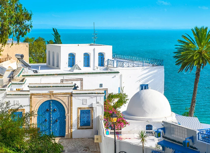 Sidi Bou Said
