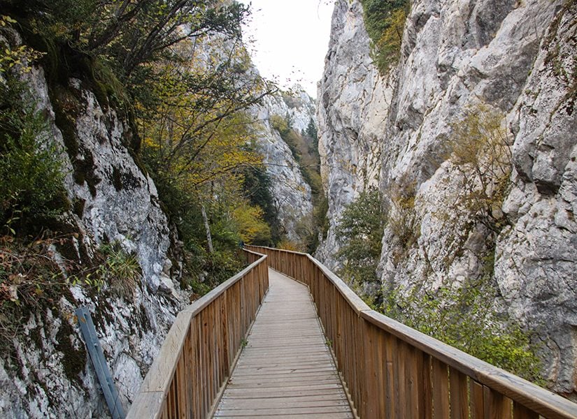 Küre Dağları Millî Parkı