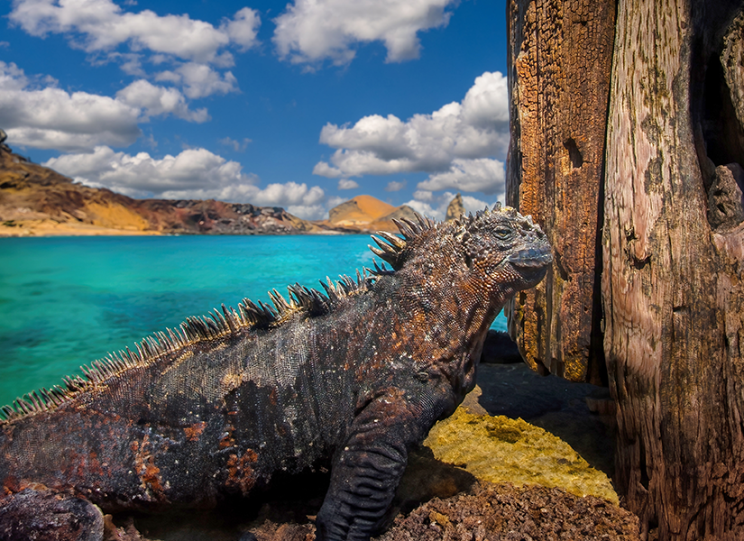 Galápagos National Park Ekvador