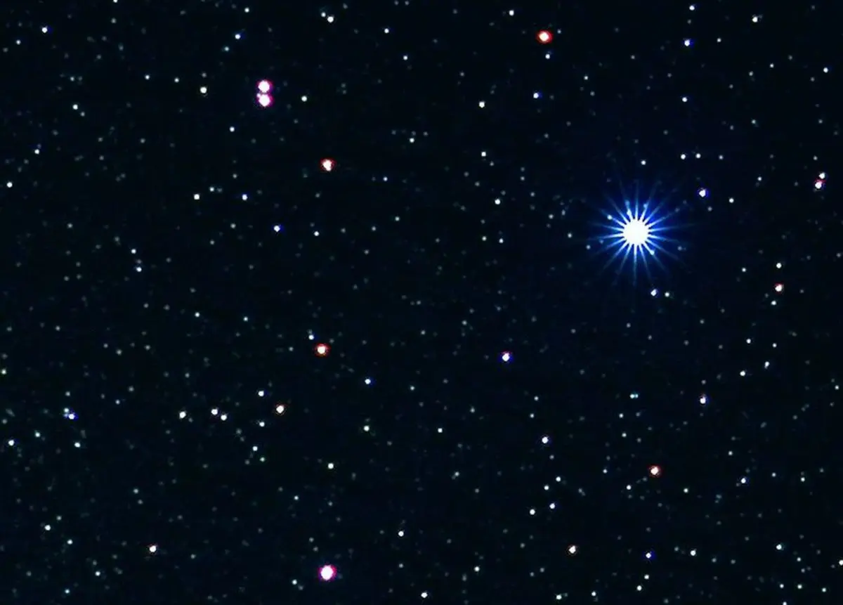 Vega