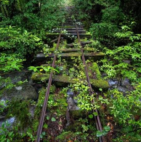 Tren Rayları Boyunca Doğa Yürüyüşleri
