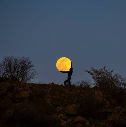 Gece Yürüyüşleri Dolunayda Doğayı Adımlamak