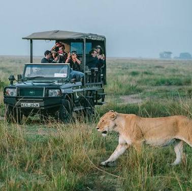 Yaban Hayatın İzinde Safari Rotaları