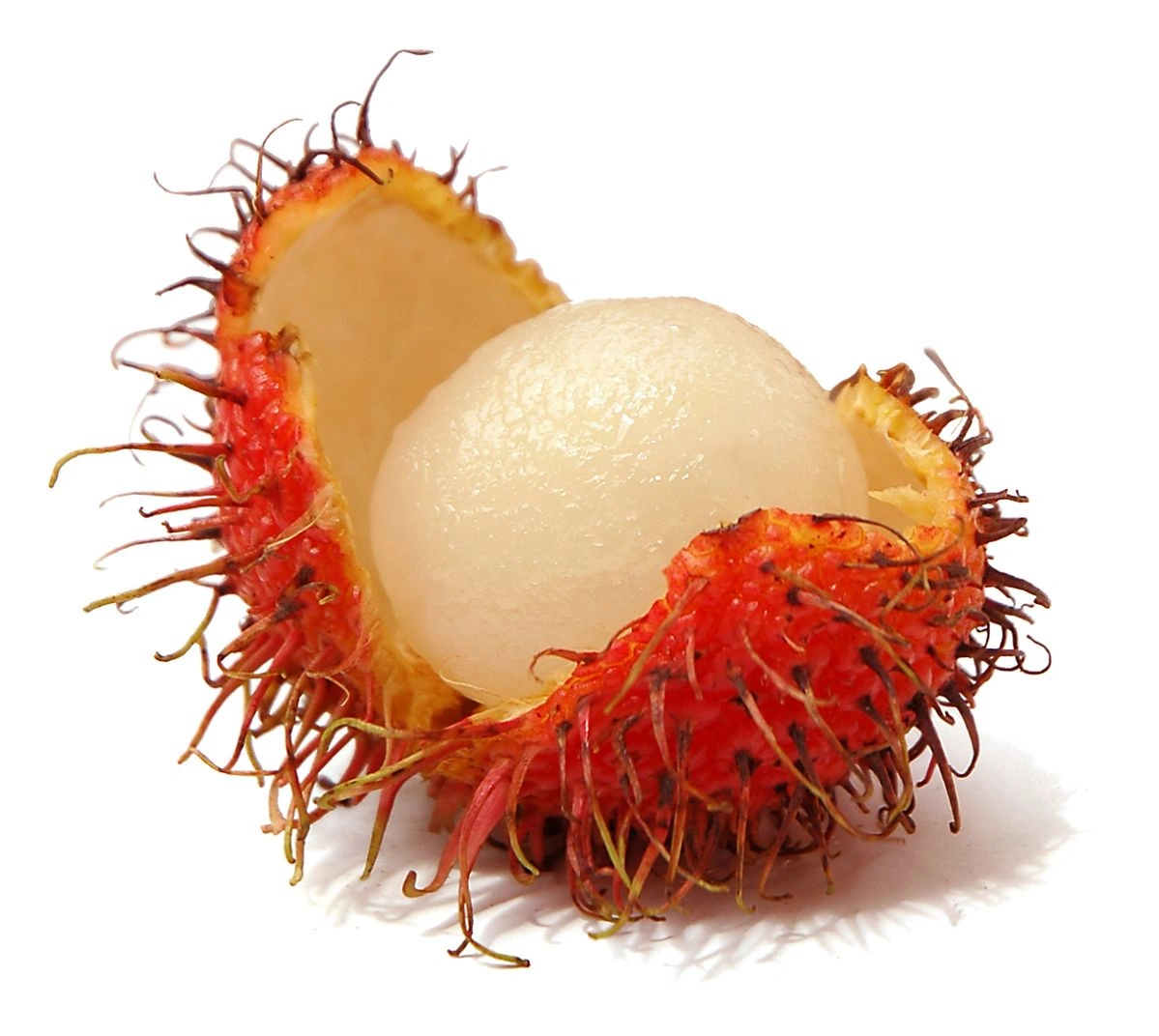 Rambutan