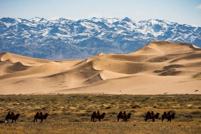 GOBİ ÇÖLÜ