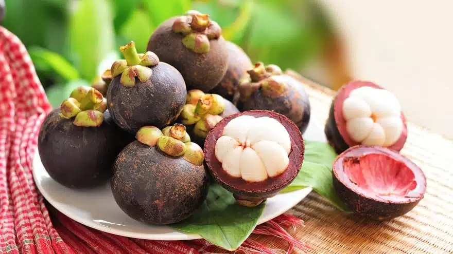 Mangostan Mangosteen