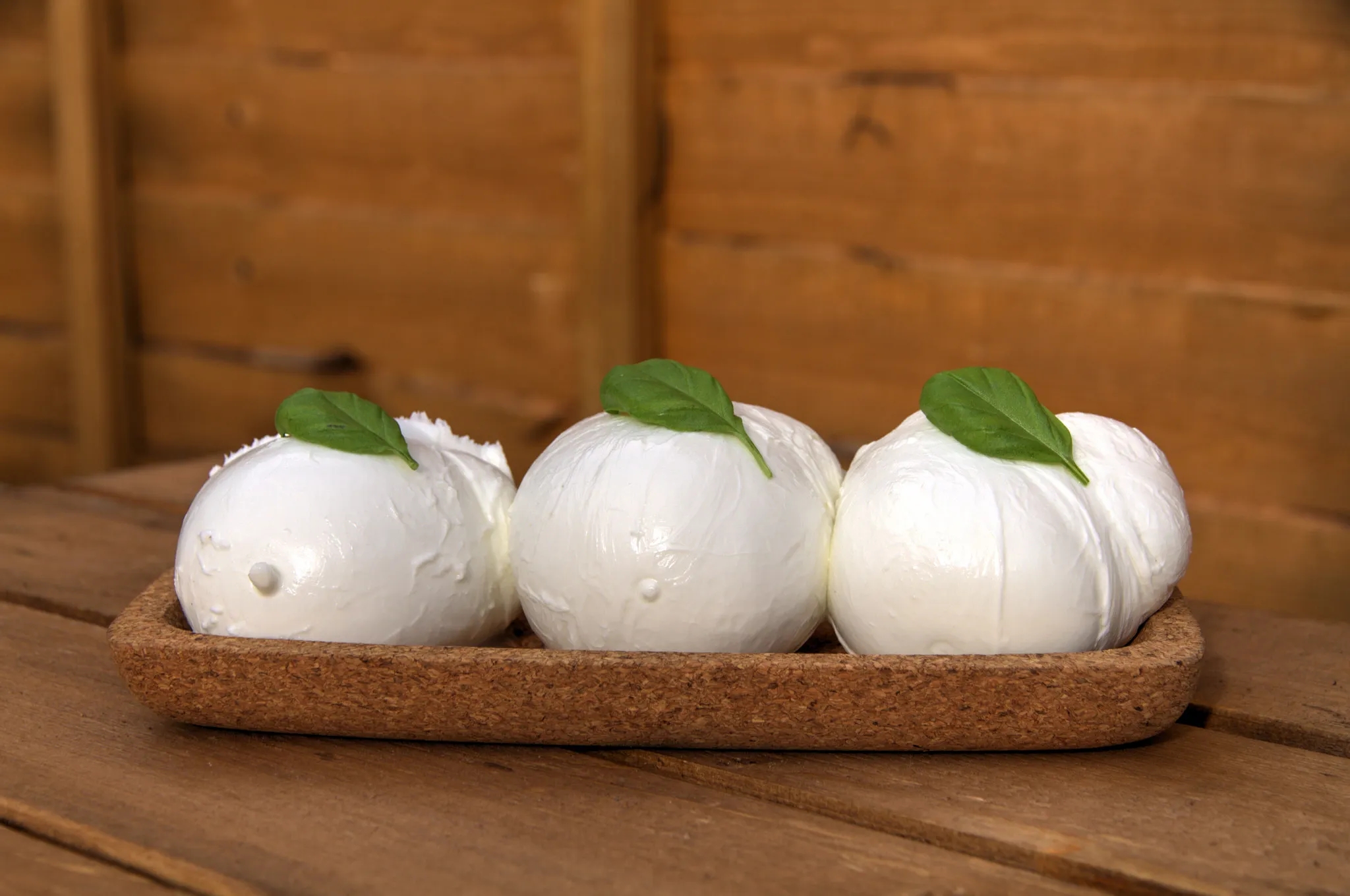 MOZZARELLA Dİ BUFALA CAMPANA İTALYA