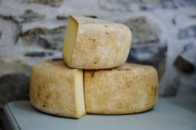 Gouda