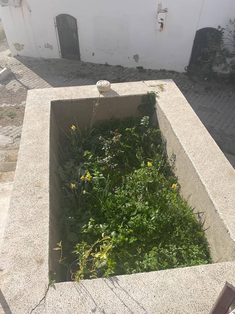 Soğancı Dede