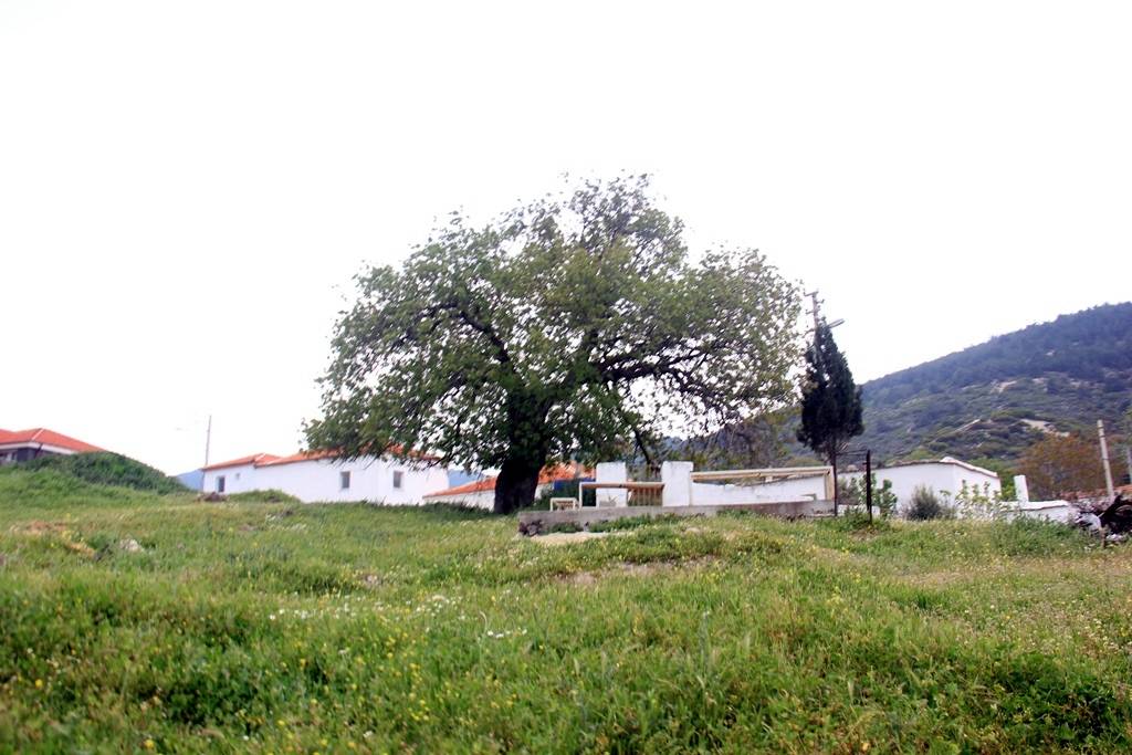 Helvacı Dede Türbesi