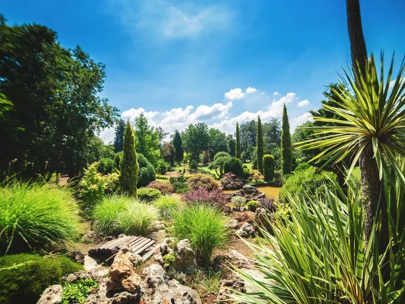Atatürk Arboretumu