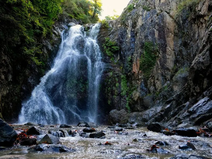 Üvezpınar