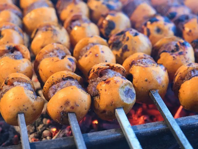 Yenidünya kebabı