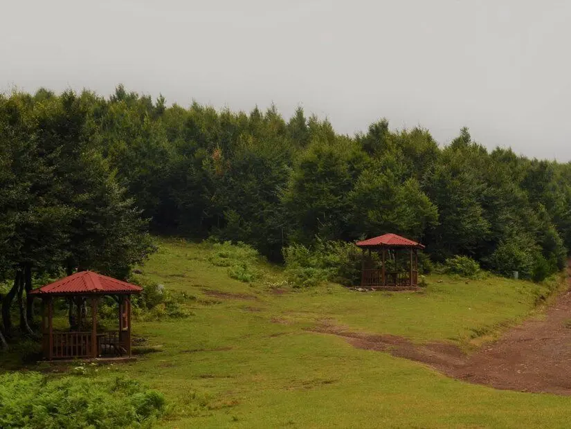 Suadiye Tabiat Parkı