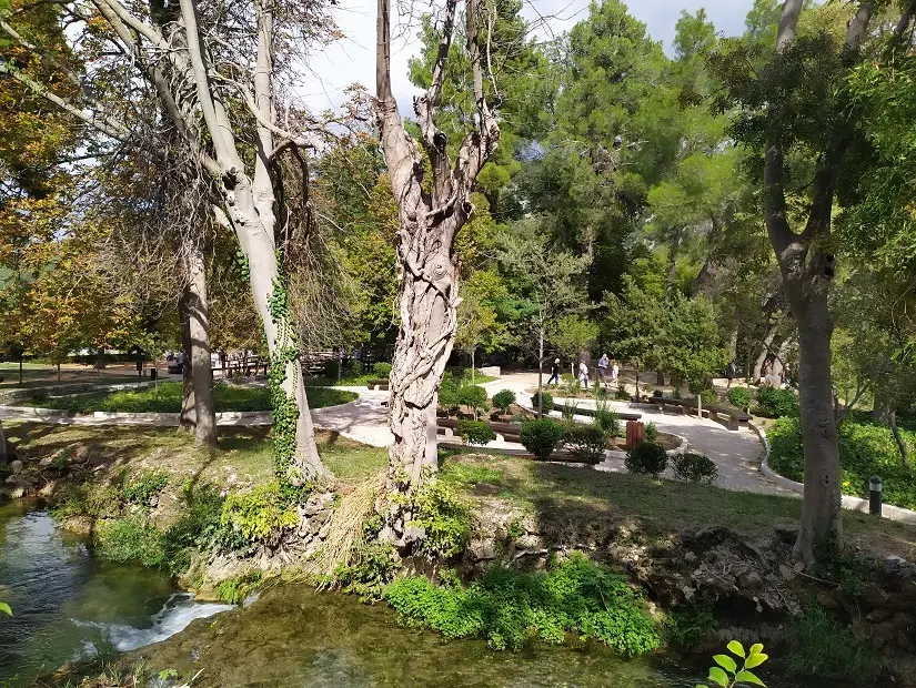 Kıranardı Kent Ormanı