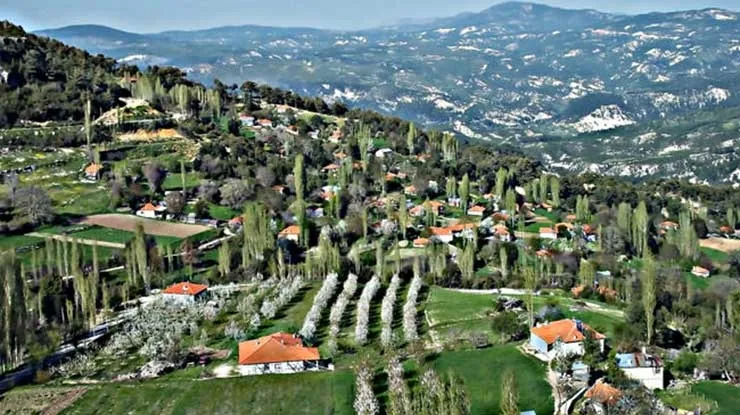 ÇAMELİ DENİZLİ