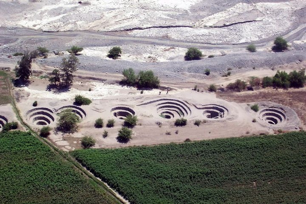 Puqious