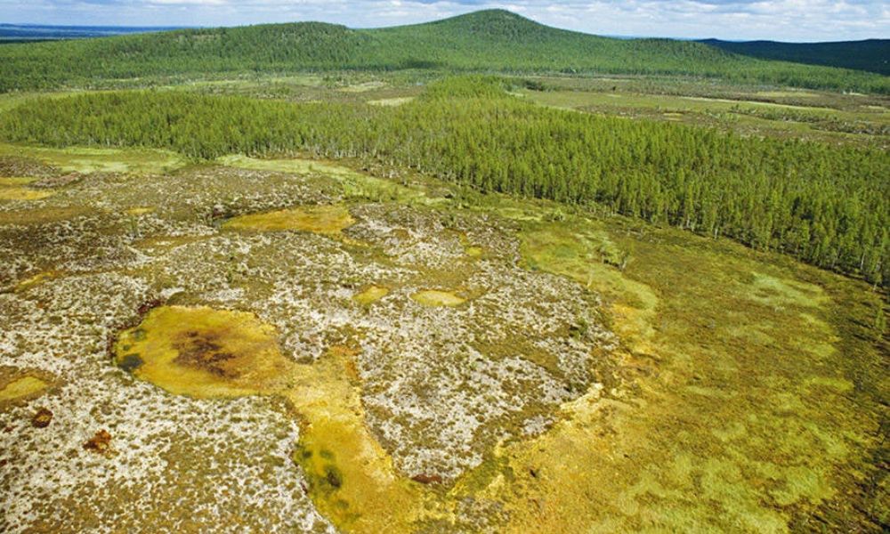 Tunguska patlaması