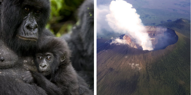 Kongo Cumhuriyeti nde yer alan Virunga Milli Parkı nda dağ