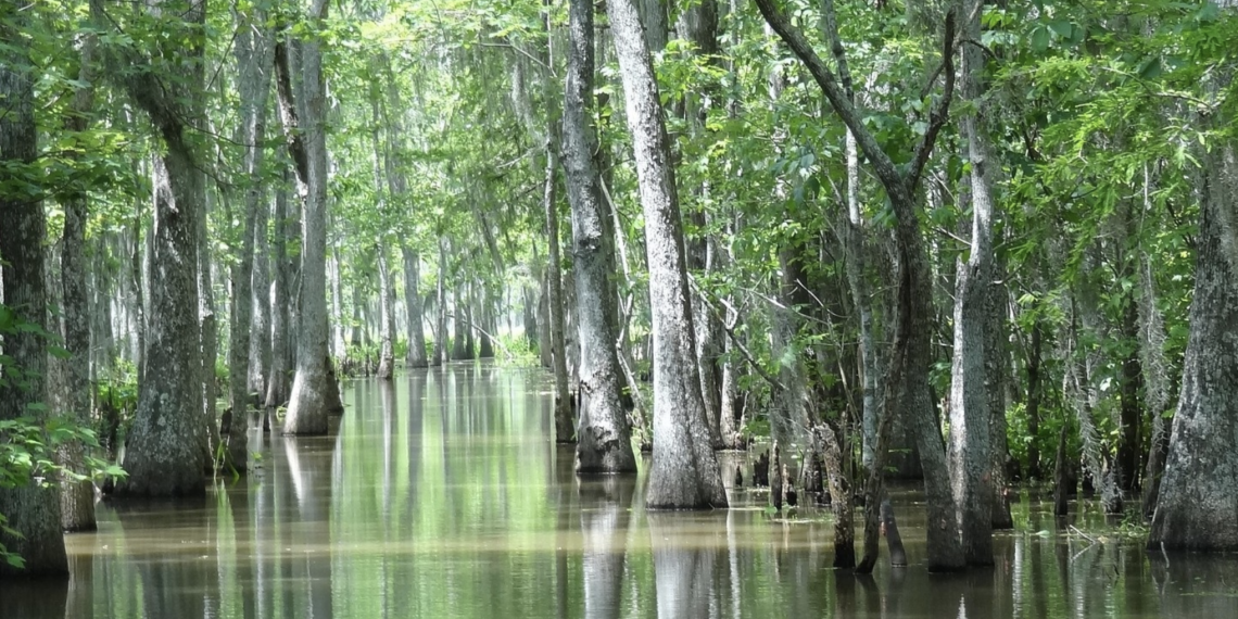Louisiana ABD çevresinde araba ile tura çıkın