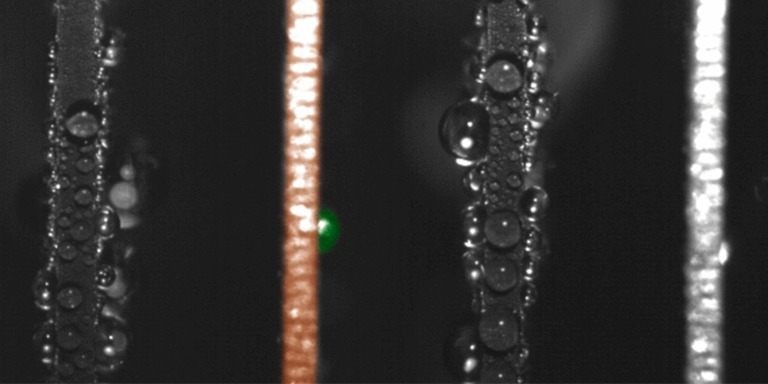 Altın Nanowire Piller