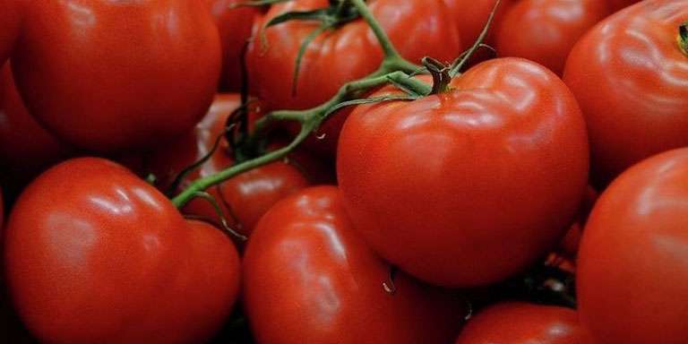 E Vitamini Kaynağı Domates