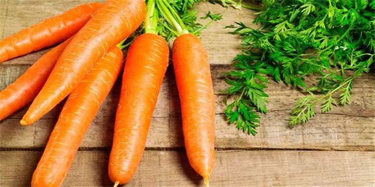 A Vitamini Yuvası Havuç