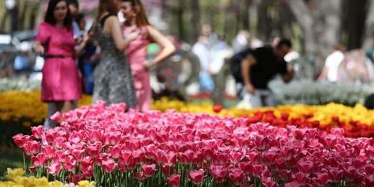 İstanbul Lale Festivali