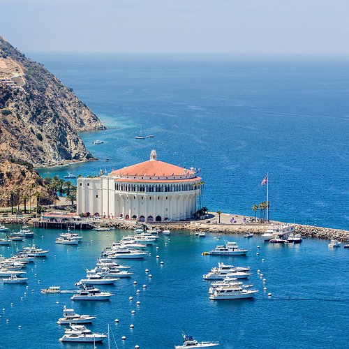 Catalina Adası Kaliforniya ABD