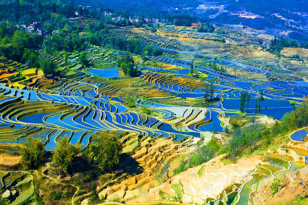 Yuanyang Rice Terraces Yunnan Çin Halk Cumhuriyeti