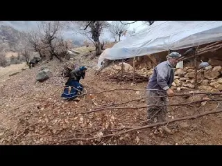 Wooden Adventures Travel to the mountains to build huts and