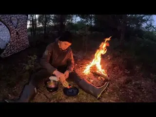 In Search of Predators Pine Forest Camping Pike Fishing in